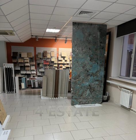 Аренда офиса в особняке класса В+, м.Парк культуры