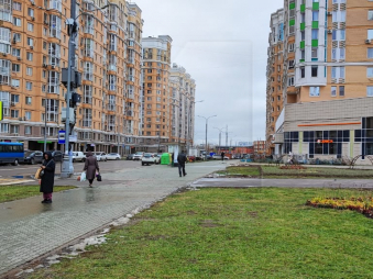 Аренда ПСН, м.Царицыно