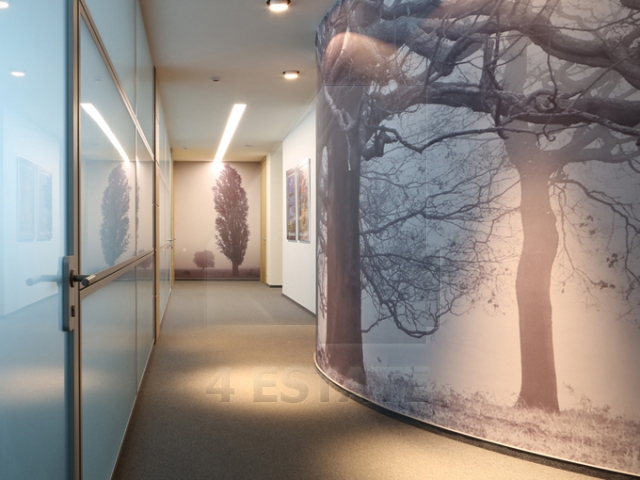 Продажа презентабельного бизнес центра и особняка, м.Добрынинская.