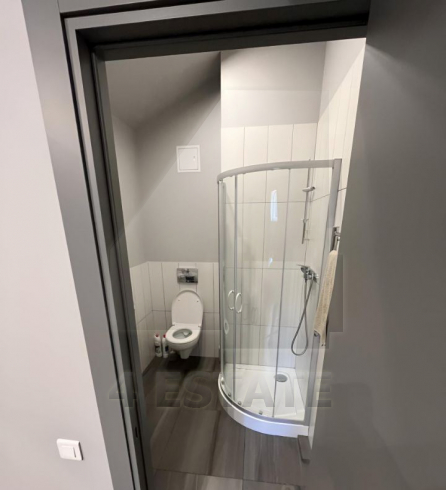 Аренда особняка, м.Чистые пруды