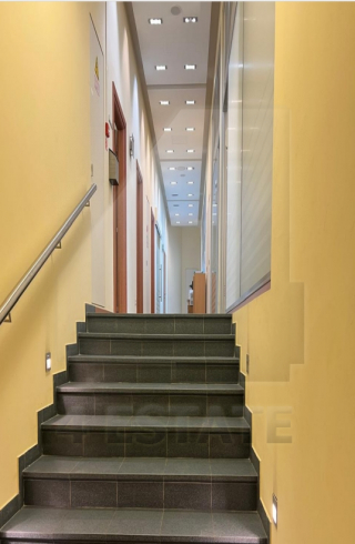 Аренда офиса в особняке класса В+, м.Чеховская.