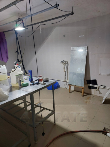 Аренда отдельно стоящего особняка с большой территорией, м.Динамо.