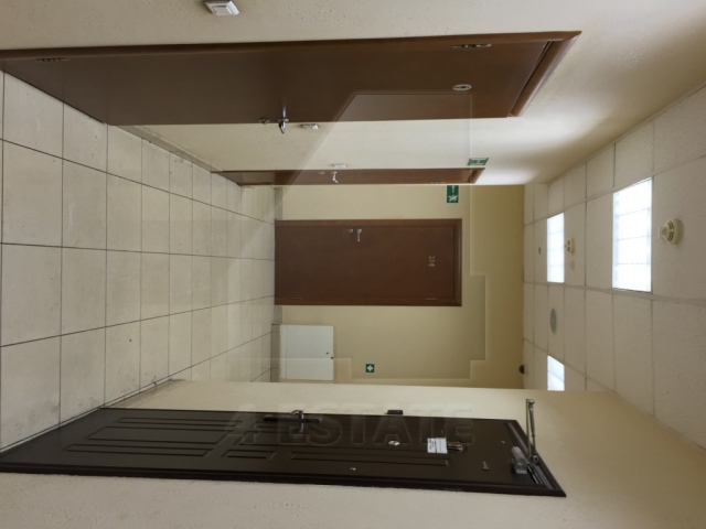 Продажа особняка класса В+, м.Проспект Мира.