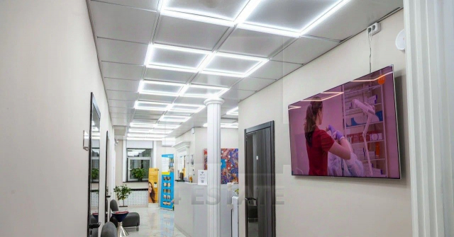 Аренда особняка класса В+, м.Баррикадная.