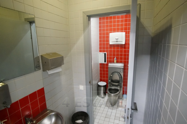 Продажа презентабельного особняка класса В+, м.Цветной б-р.