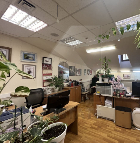 Аренда презентабельного особняка, м.Проспект Мира